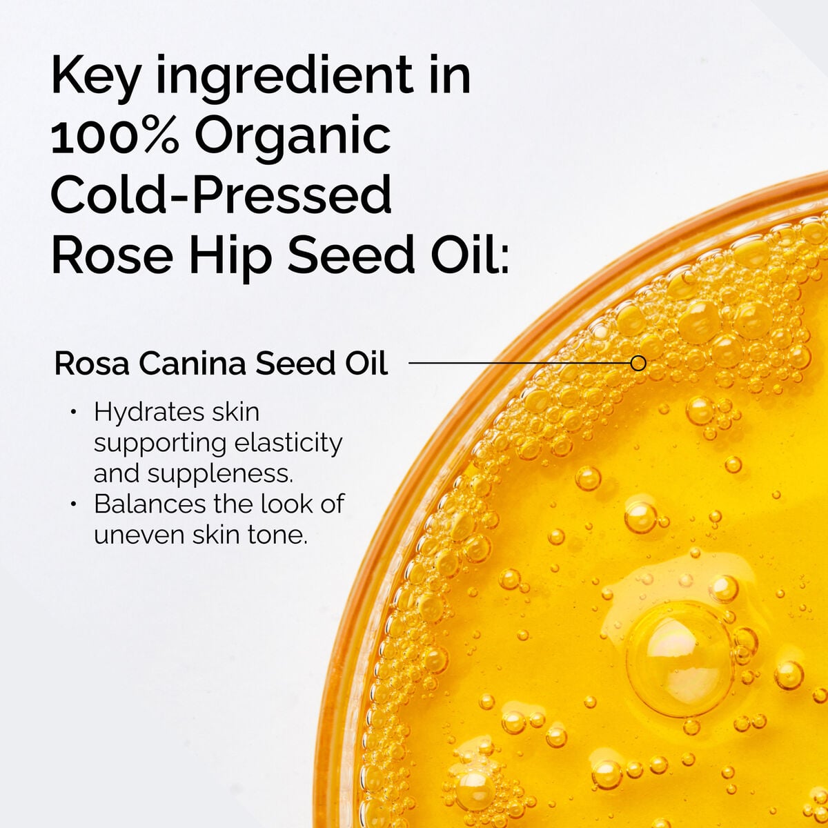 100-organic-cold-pressed-rose-hip-seed-oil-v5 FY25-D41247-ORD-Web-PDP-100-Rose-Hip-Oil-1x1-EN-2.jpg