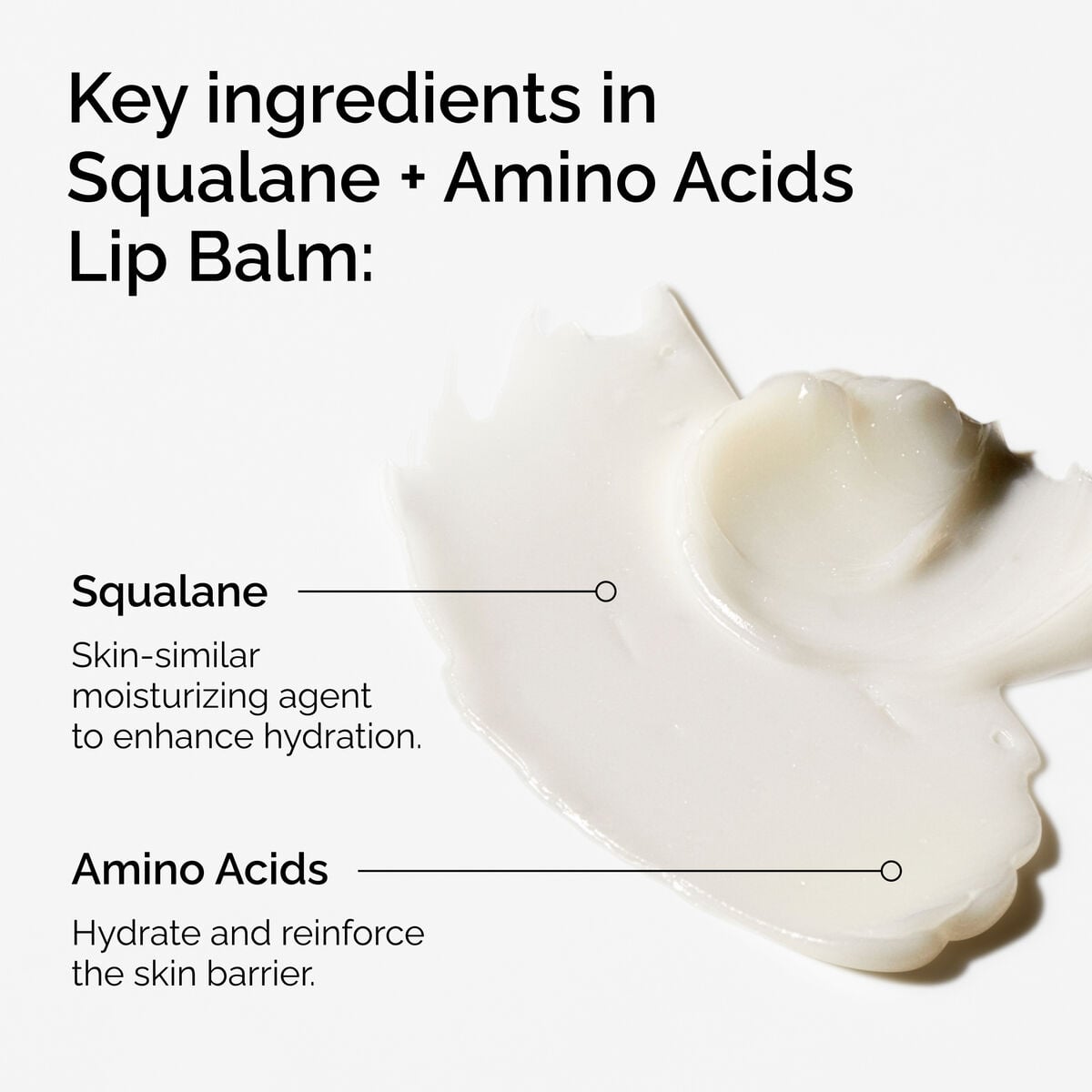 squalane-amino-acids-lip-balm-y5 FY25-D41247-ORD-Web-PDP-Sql-Amino-Lip-1x1-EN-2a.jpg