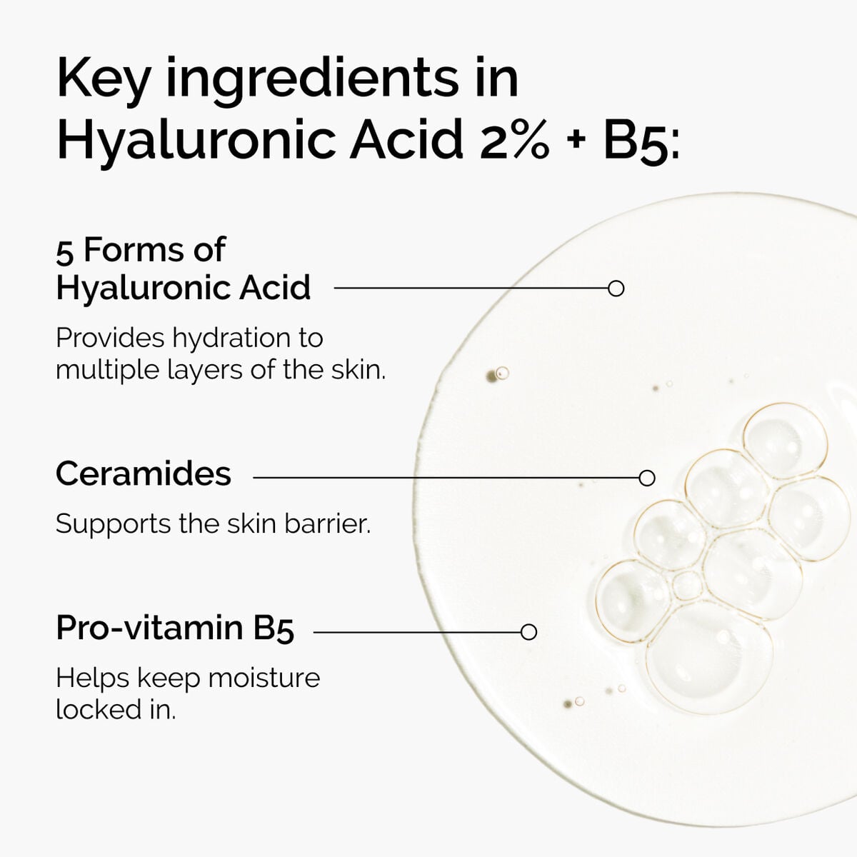 hyaluronic-acid-2-b5-with-ceramides-m1 ord-hyaluronic-acid-2pct-b5-hydrating-serum-ingredients-graphic.jpg