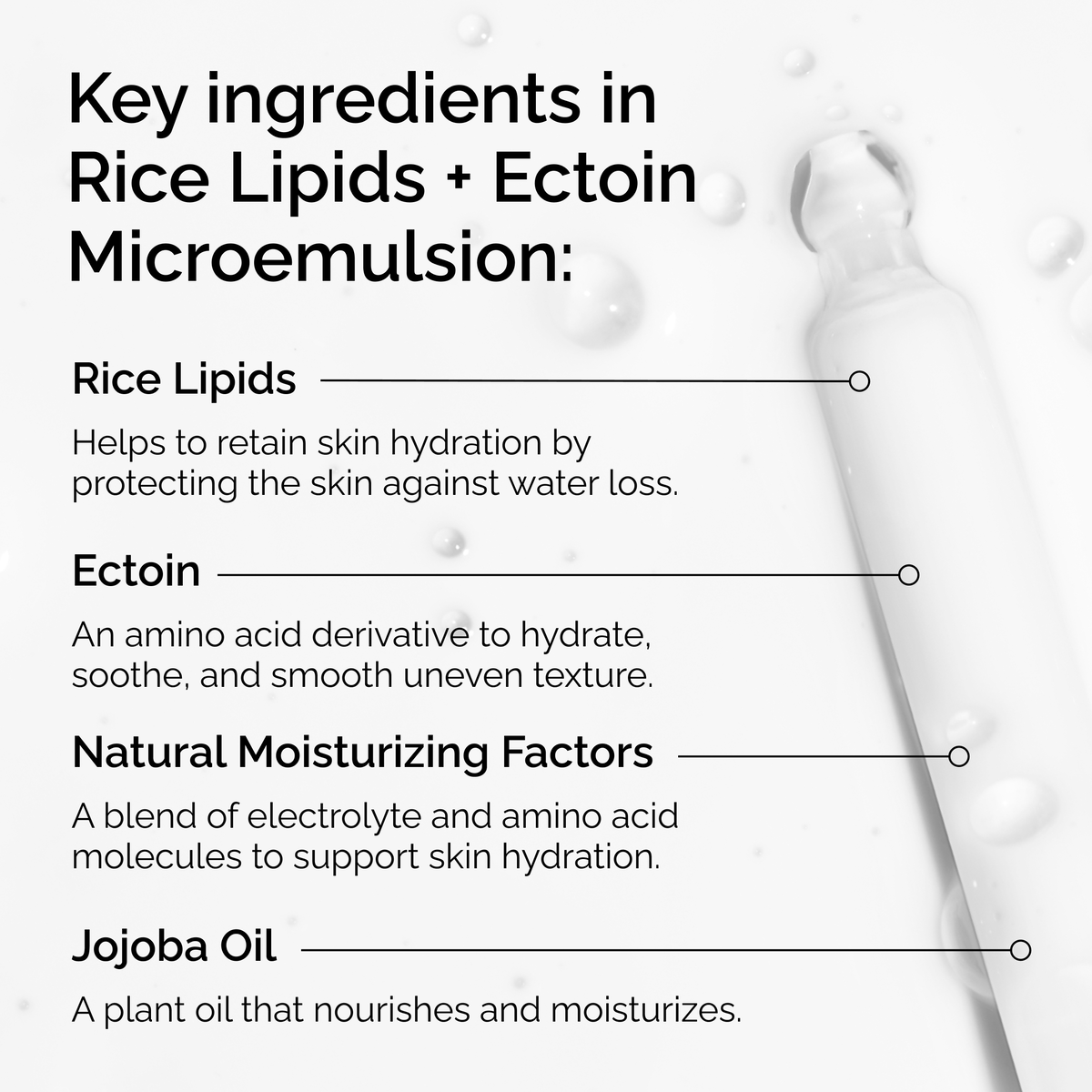rice-lipids-ectoin-microemulsion-c8 ord-rice-lipids-ectoin-microemulsion-key-ingredients.png
