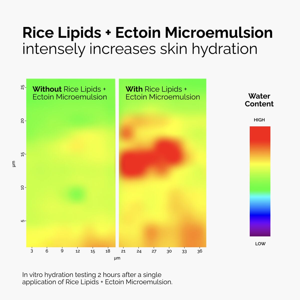 rice-lipids-ectoin-microemulsion-c8 ord-rice-lipids-ectoin-microemulsion-thermal-before-after.jpg